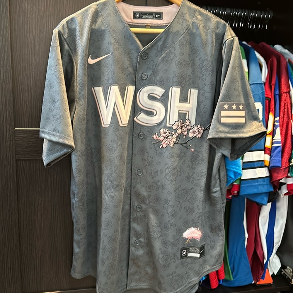 Washington Nationals Nike City Connect Replica Team MLB Jersey - Gray